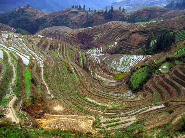 longsheng_terraces_29.jpg