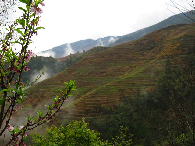 longsheng_terraces_31.jpg