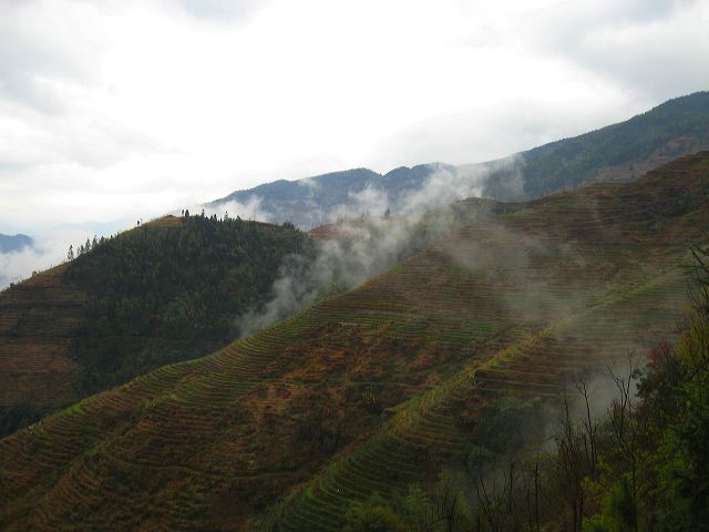 longsheng_terraces_32.jpg