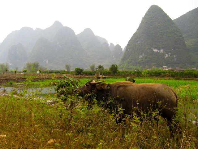 yulong_cycle_11.jpg