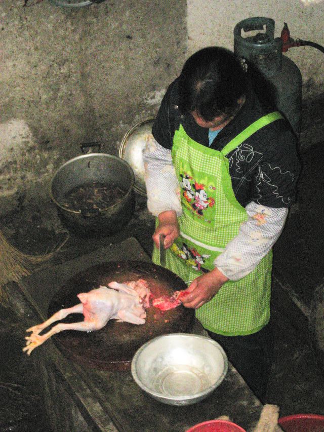 yulong_cycle_25.jpg