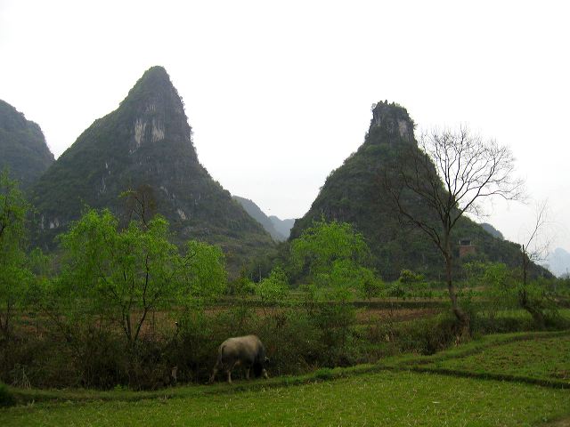 yulong_cycle_26.jpg