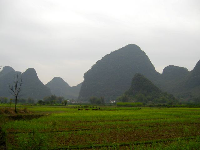 yulong_cycle_29.jpg