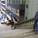 hong_kong_21.jpg