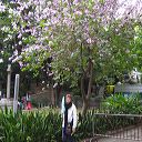 hong_kong_23.jpg