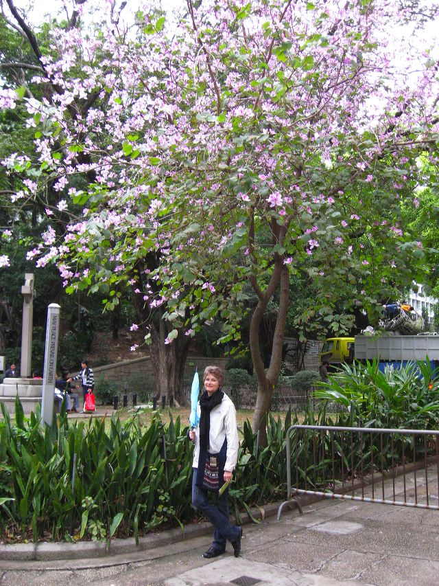hong_kong_23.jpg