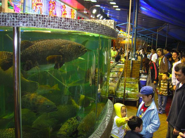 seafood_01.jpg