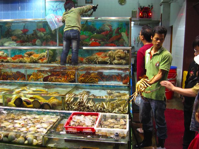 seafood_02.jpg