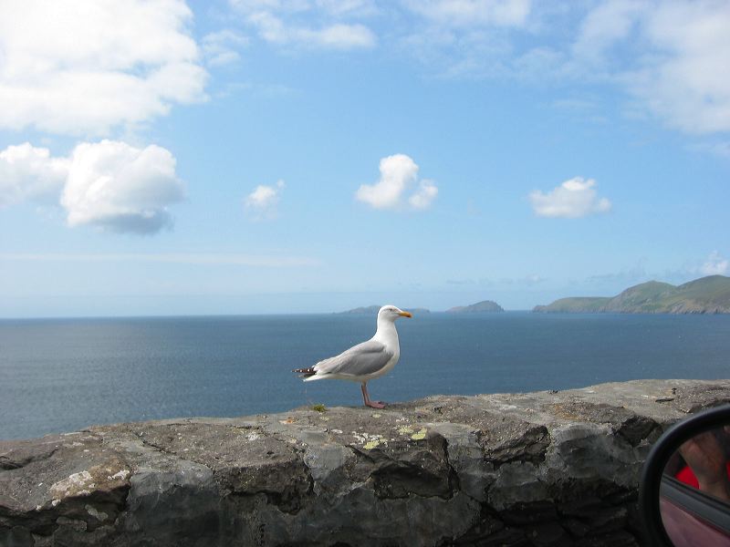 ireland018.jpg