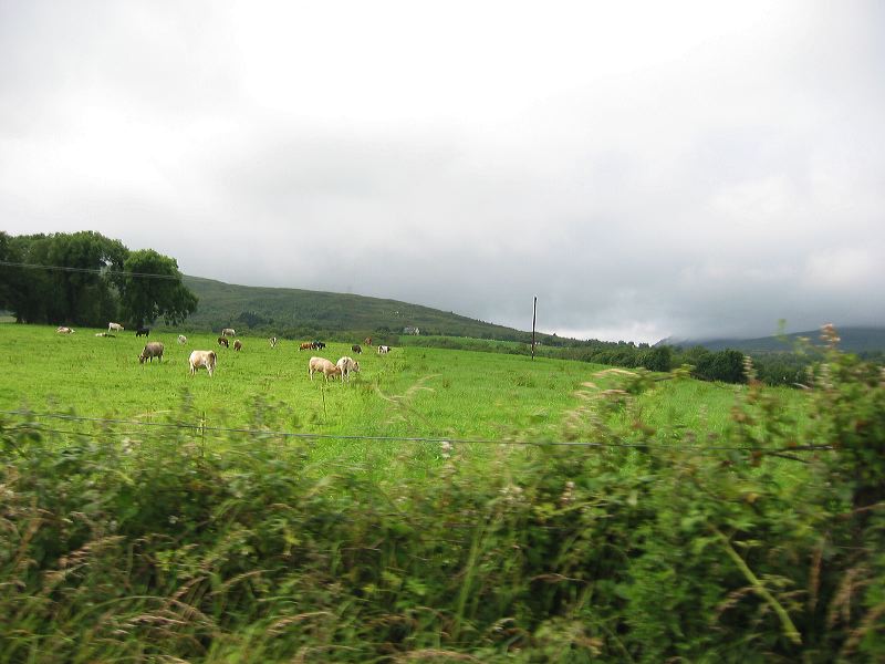 ireland062.jpg