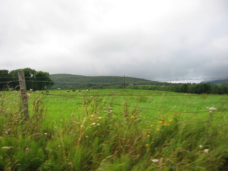 ireland063.jpg