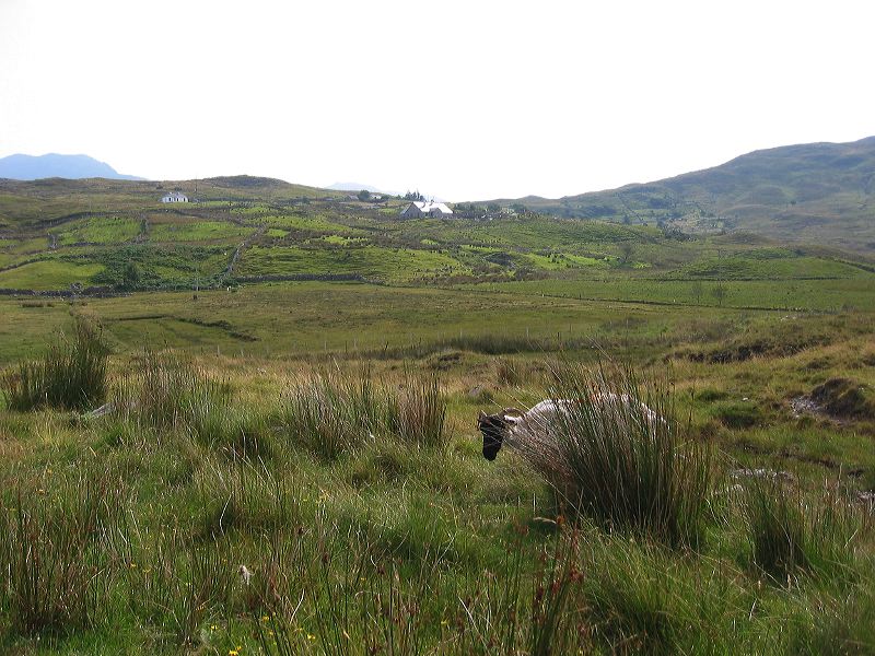 ireland190.jpg