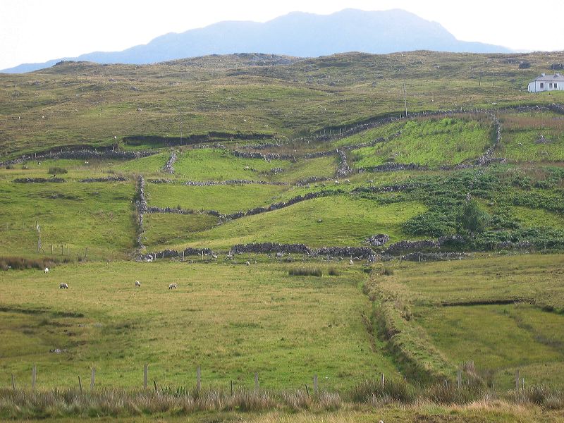 ireland191.jpg