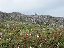 ireland051