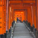 fushimi_inari_gates_06.jpg