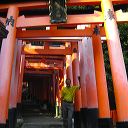 fushimi_inari_gates_23.jpg