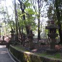 fushimi_inari_gates_28.jpg