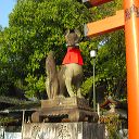 fushimi_inari_gates_35.jpg