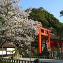 fushimi_inari_gates_36.jpg