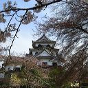 hikone_22.jpg