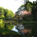 kyoto_castle_two_13.jpg