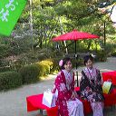 kyoto_castle_two_14.jpg