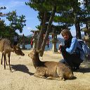 miyajima_19.jpg
