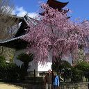 miyajima_40.jpg
