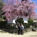 miyajima_41.jpg