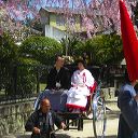 miyajima_45.jpg