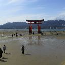 miyajima_87.jpg