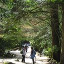 miyajima_hike_37.jpg