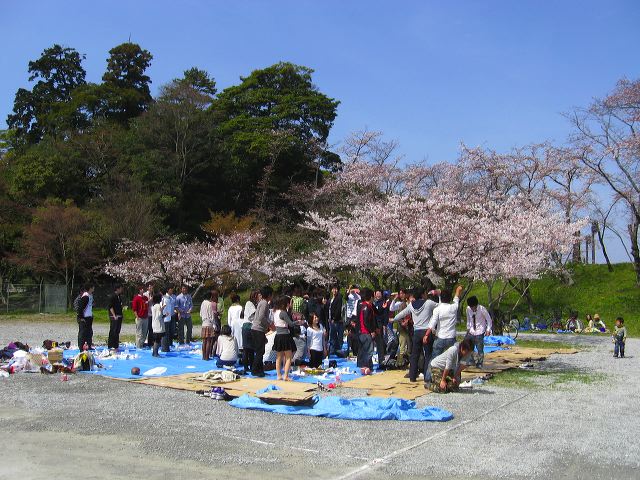 hikone_10.jpg