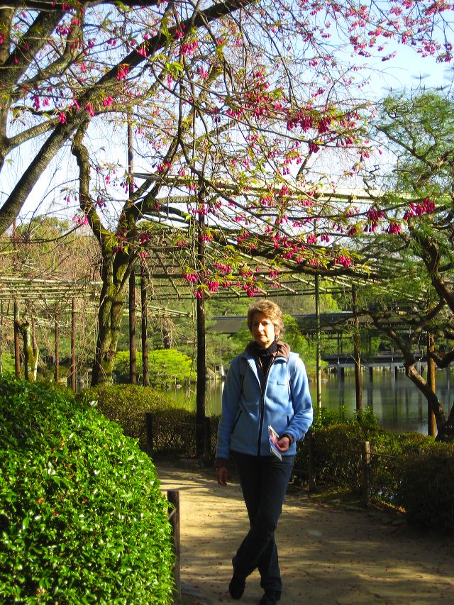 kyoto_castle_two_16.jpg