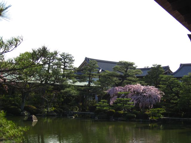 kyoto_castle_two_21.jpg