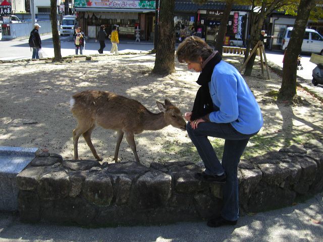 miyajima_12.jpg