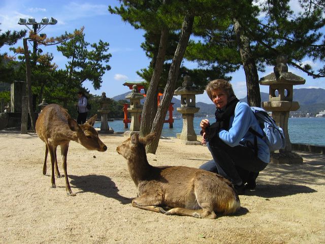miyajima_19.jpg