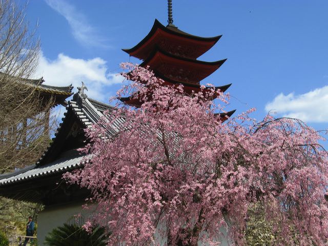 miyajima_39.jpg