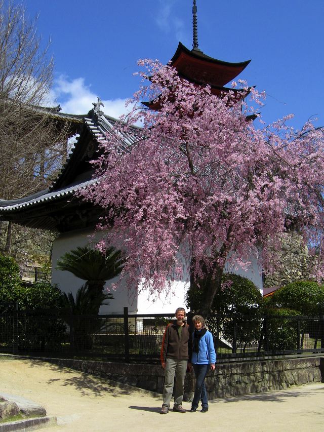 miyajima_40.jpg