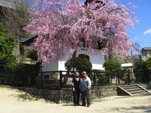 miyajima_41.jpg