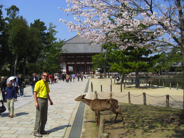 nara_11.jpg