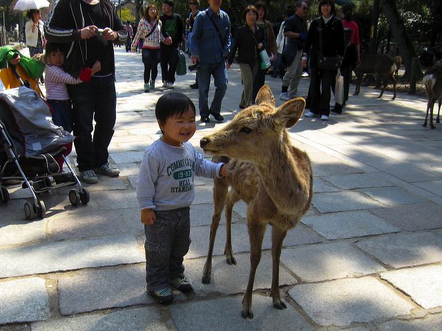 nara_51.jpg
