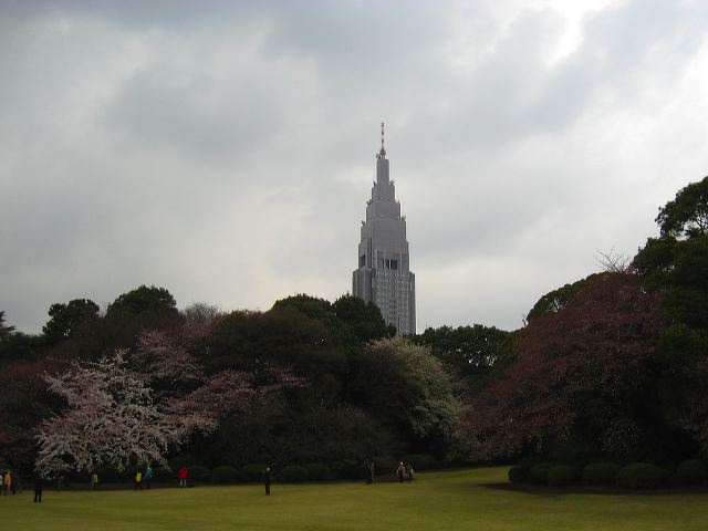 shinjuku_blossom_13.jpg