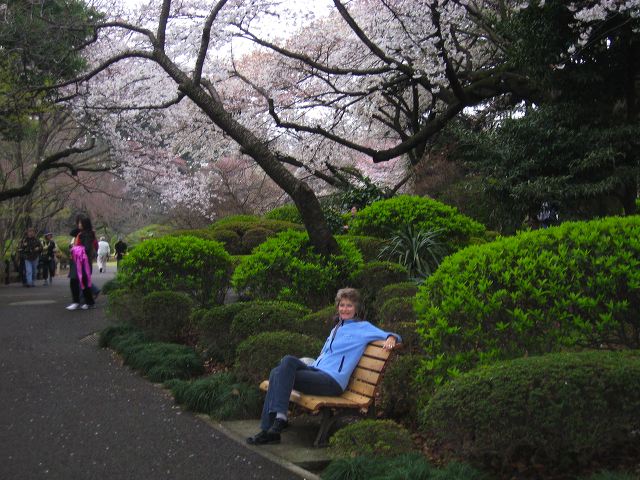 shinjuku_blossom_15.jpg