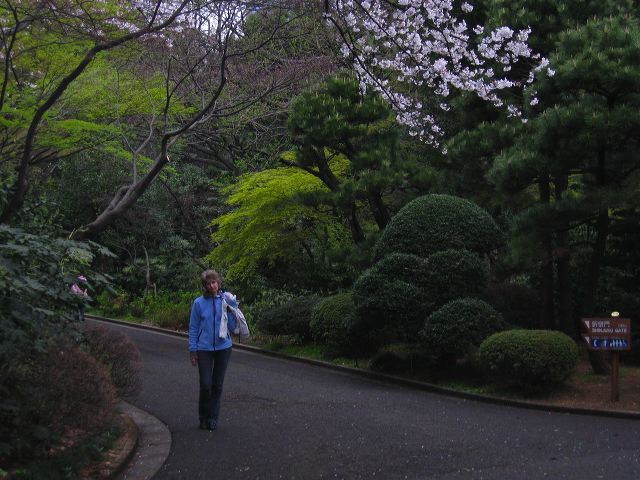 shinjuku_blossom_17.jpg