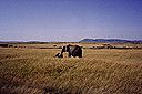 kenya57