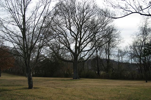 littlerock59.jpg