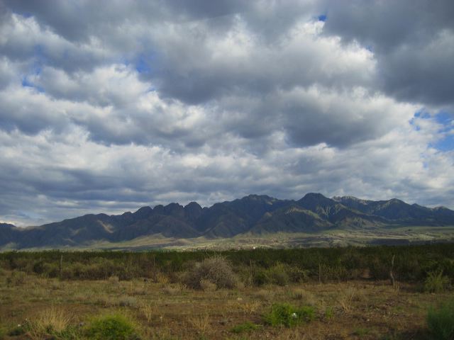 mendoza_21.jpg
