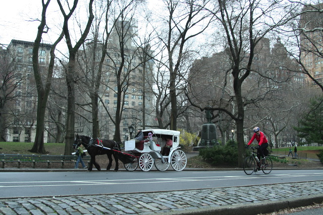 nyc_097.jpg