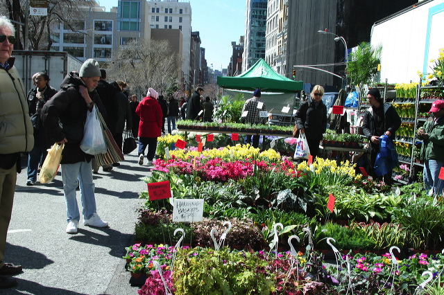 nyc_154.jpg